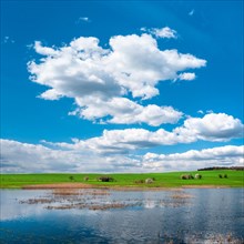Small lake under blue sky with