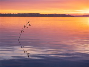 Clear calm lake at sunrise