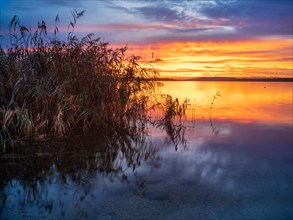 Clear still lake at sunrise
