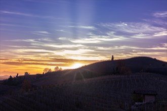 Sunset over vine fields
