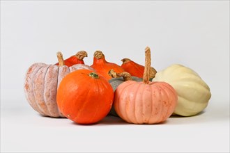 Mix of different colorful pumpkins and squashes