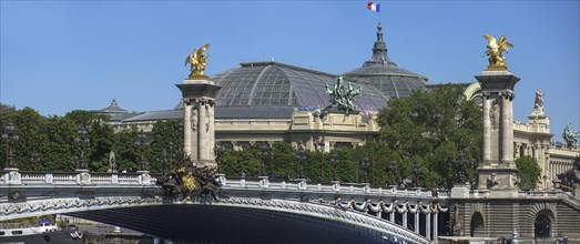 Paris Grand Palais and Pont Alexandre III