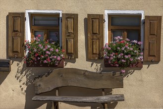 Flower boxes with geraniums