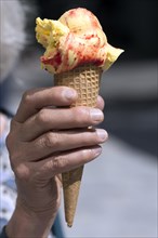 Hand with lemon ice cream in a waffle Bavaria