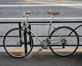 Green bicycle with brown black details