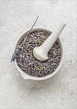 Lavender plant bowl arrangement