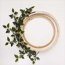 Leaves decoration with empty wooden circles white backdrop