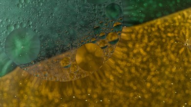 Oil bubbles floating abstract green golden background