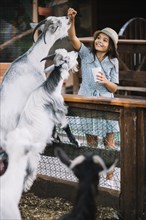 Portrait smiling girl feeding chips goat barn