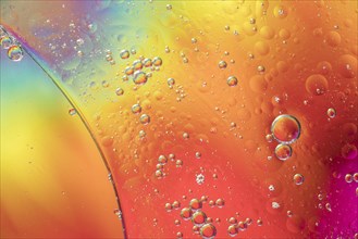 Rainbow abstract bubbles texture