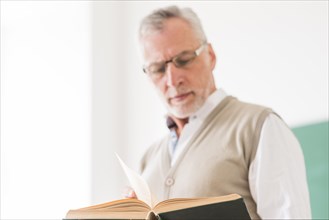 Senior male professor glasses reading book
