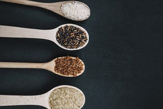 Spoons with various rice types