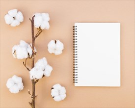 Top view arrangement with cotton flowers notebook