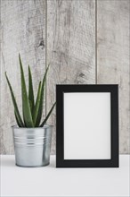 Aloe vera aluminum container with white picture frame against wooden wall