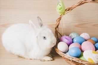 Basket with eggs near white rabbit