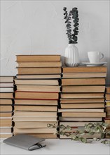 Books stack plants arrangement