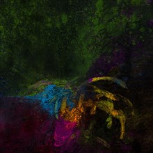 Bright rangoli colors spread black surface