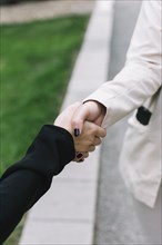 Close up two businesswomen shaking hands