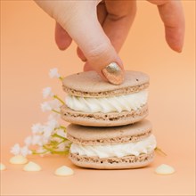 Female s hand with golden nail polish taking macaroon against colored backdrop