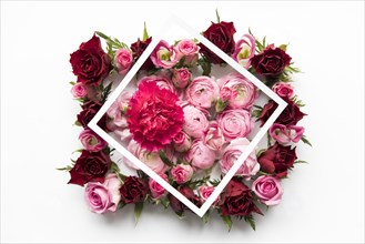 Frame carnation peonies roses
