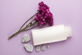 Fresh pink flowers spa stones closed bottle pink background