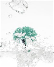 Green carnation falling into water