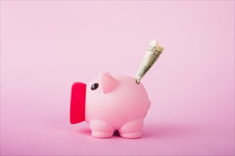 Pink piggy bank with money