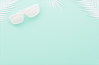 Sunglasses with white palm leaves