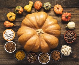 Top view circular food arrangement with big pumpkin