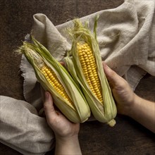 Top view person holding corn