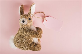 Toy rabbit with tag