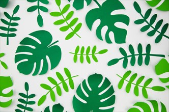 Tropical monstera plants style cut paper