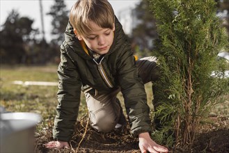 Young boy planting tree outdoors