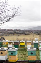 Bee hives outdoors country lifestyle