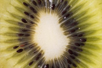Close up kiwi organic background