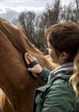 Close up woman brushing horse