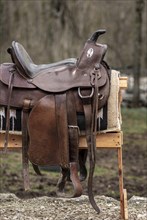 Country lifestyle with leather saddle