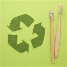 Ecological toothbrushes