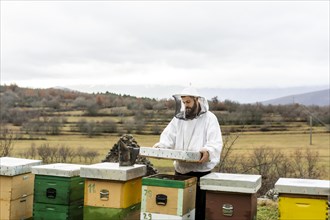 Medium shot man checking bees