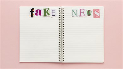 Notebook with fake news 4