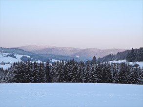 Black Forest near Bernau