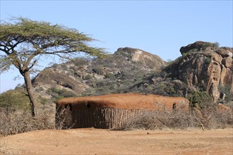 Traditional Samburu hut