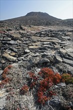 The volcanic lava rock formation Sombrero Chino