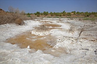 Salt deposition in the Karakum desert