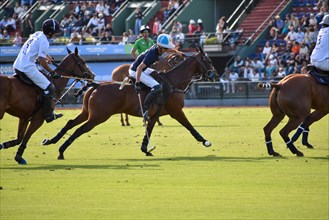 Adolfo Cambiaso