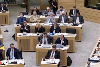 AfD parliamentary group