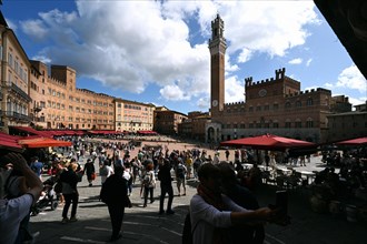 Piazza del Campo and Torre del Mangia