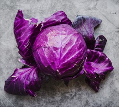 Purple cabbage floor