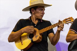 Musician playing ukulele