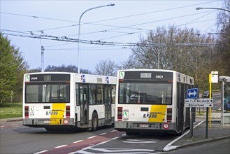 Two buses of the Flemish transport company De Lijn